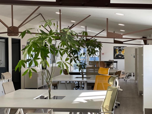 OPEN SPACE / JOURNÉE